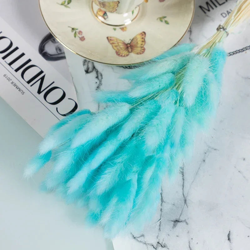Natural Bunny Tail Grass Dried Flowers for Bouquet Arrangements Home Decor Photography