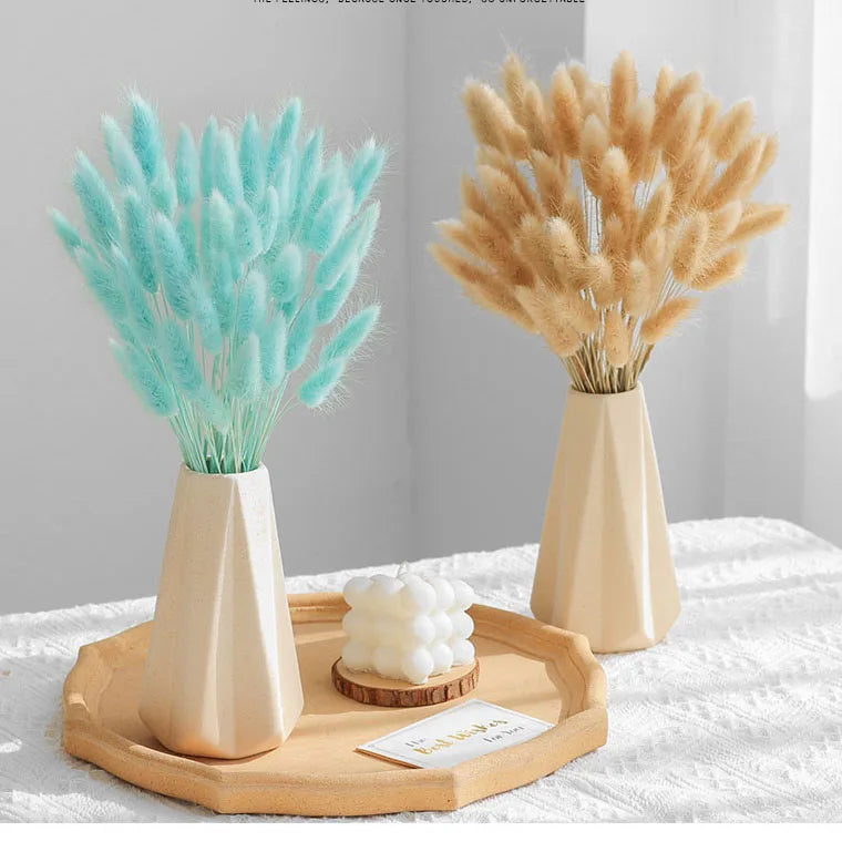 Natural Bunny Tail Grass Dried Flowers for Bouquet Arrangements Home Decor Photography