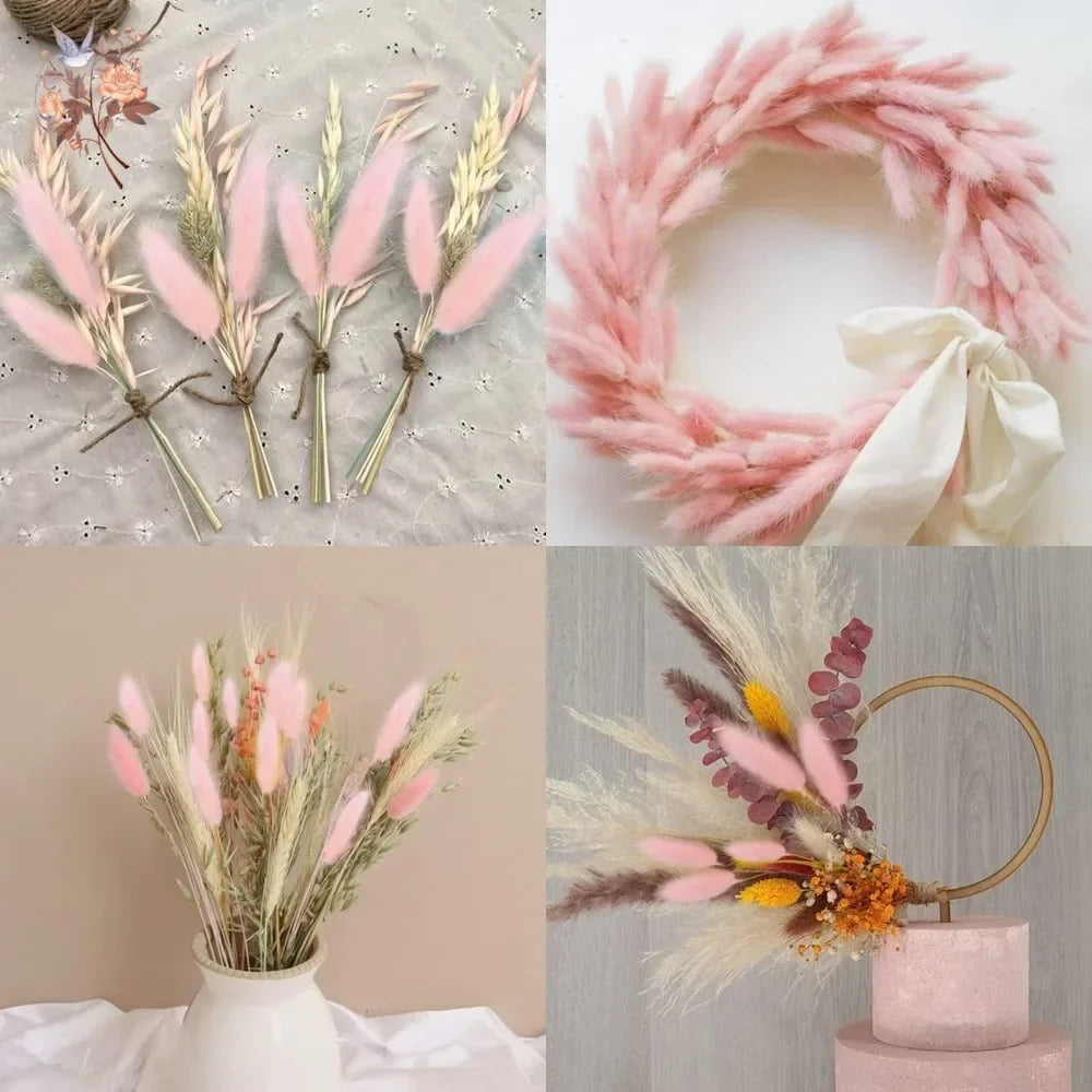 Natural Bunny Tail Grass Dried Flowers for Bouquet Arrangements Home Decor Photography