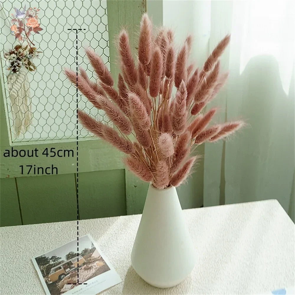 Natural Bunny Tail Grass Dried Flowers for Bouquet Arrangements Home Decor Photography