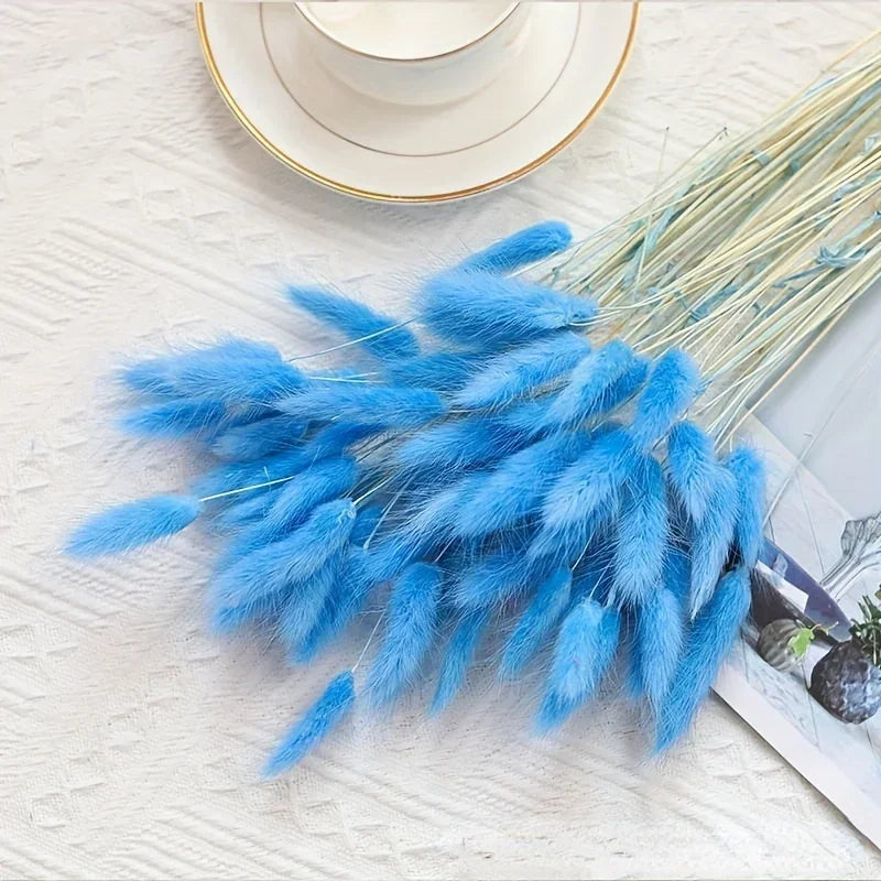 Natural Bunny Tail Grass Dried Flowers for Bouquet Arrangements Home Decor Photography